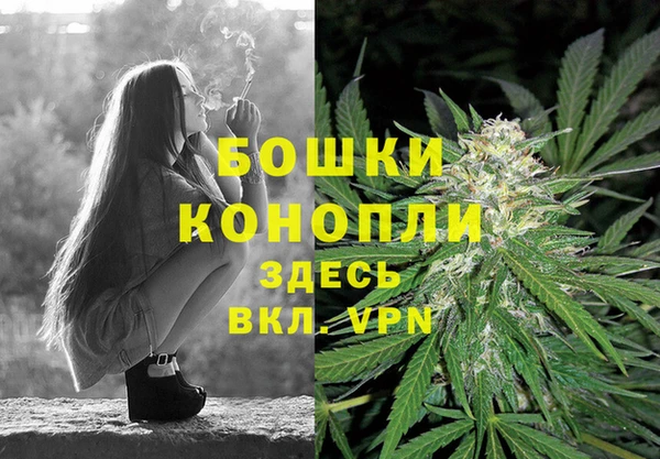 гидропоника Верея