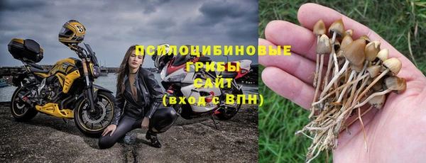 гидропоника Верея